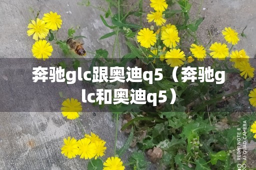 奔驰glc跟奥迪q5（奔驰glc和奥迪q5）