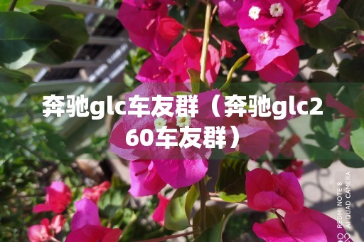 奔驰glc车友群（奔驰glc260车友群）