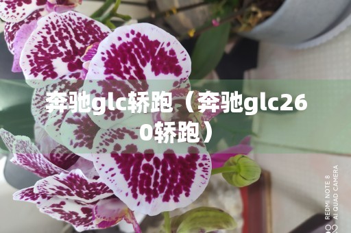 奔驰glc轿跑（奔驰glc260轿跑）