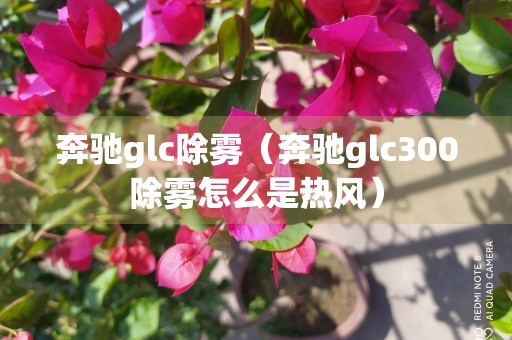 奔驰glc除雾（奔驰glc300除雾怎么是热风）