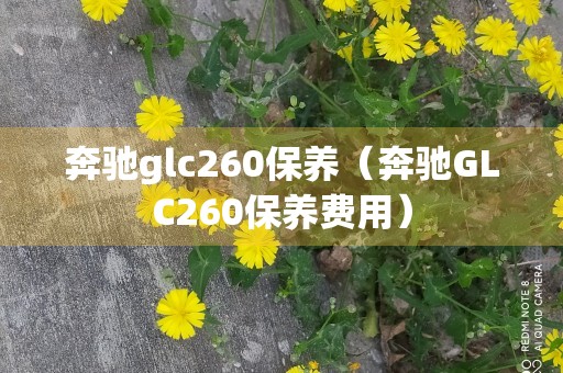 奔驰glc260保养（奔驰GLC260保养费用）