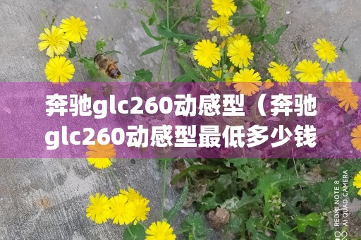 奔驰glc260动感型（奔驰glc260动感型最低多少钱）