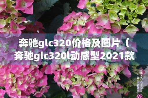 奔驰glc320价格及图片（奔驰glc320l动感型2021款价格图片）