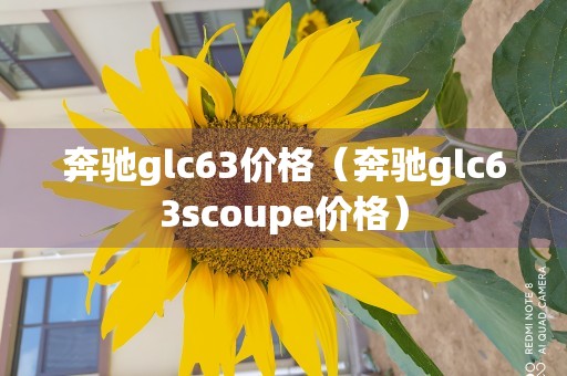 奔驰glc63价格（奔驰glc63scoupe价格）