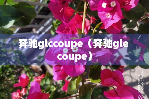 奔驰glccoupe（奔驰gle coupe）