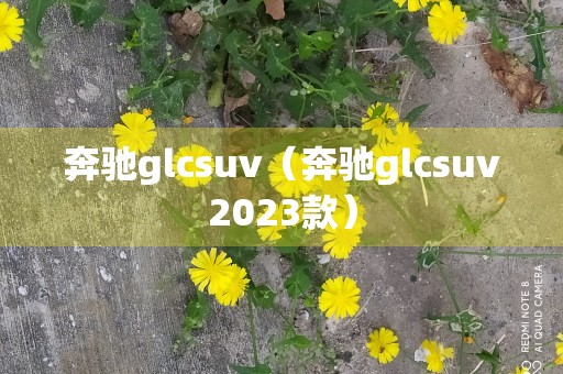 奔驰glcsuv（奔驰glcsuv2023款）