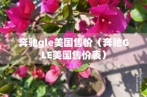 奔驰gle美国售价（奔驰GLE美国售价表）