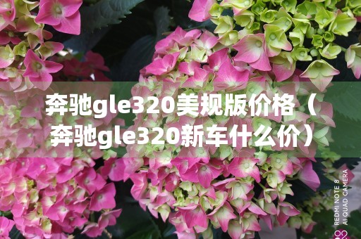 奔驰gle320美规版价格（奔驰gle320新车什么价）