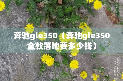 奔驰gle350（奔驰gle350全款落地要多少钱）