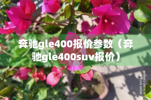 奔驰gle400报价参数（奔驰gle400suv报价）