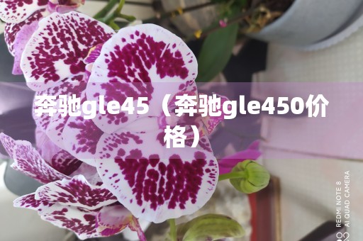 奔驰gle45（奔驰gle450价格）