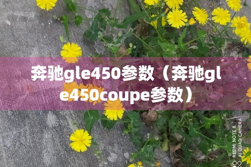 奔驰gle450参数（奔驰gle450coupe参数）