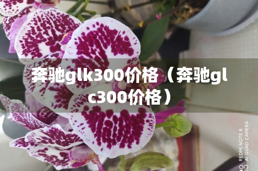 奔驰glk300价格（奔驰glc300价格）