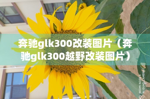 奔驰glk300改装图片（奔驰glk300越野改装图片）