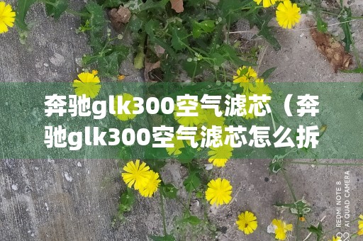 奔驰glk300空气滤芯（奔驰glk300空气滤芯怎么拆解视频）