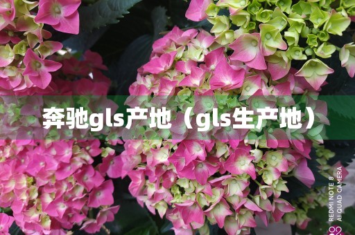 奔驰gls产地（gls生产地）