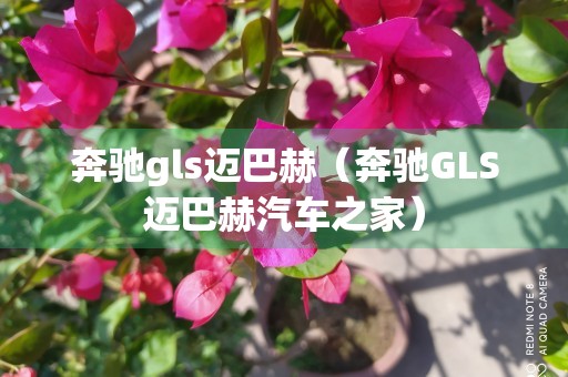 奔驰gls迈巴赫（奔驰GLS迈巴赫汽车之家）