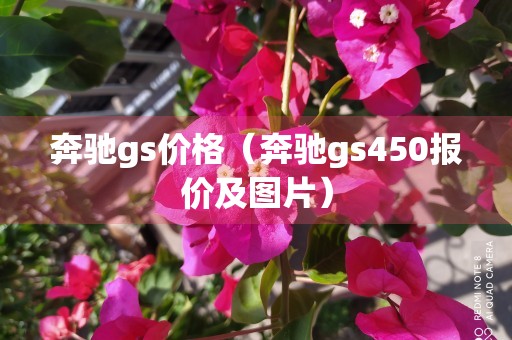 奔驰gs价格（奔驰gs450报价及图片）