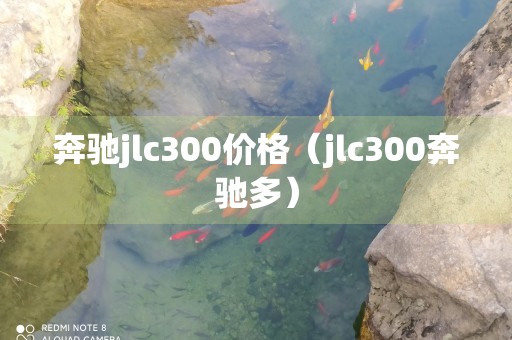 奔驰jlc300价格（jlc300奔驰多）