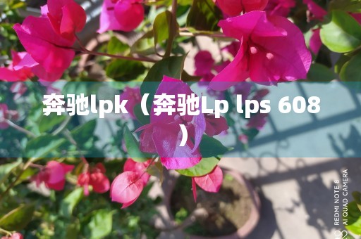 奔驰lpk（奔驰Lp lps 608）