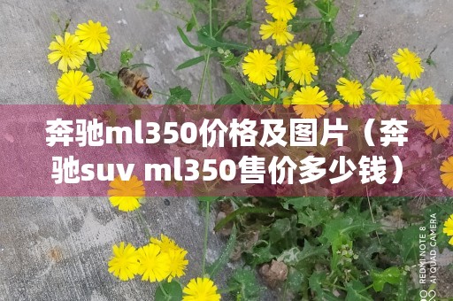 奔驰ml350价格及图片（奔驰suv ml350售价多少钱）