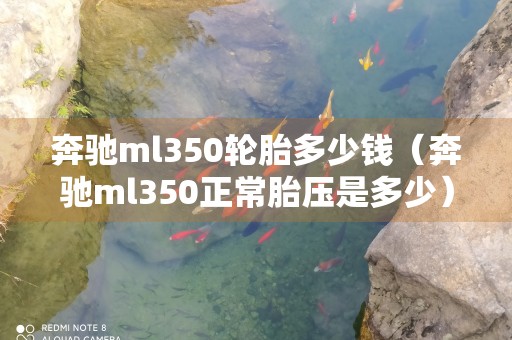 奔驰ml350轮胎多少钱（奔驰ml350正常胎压是多少）