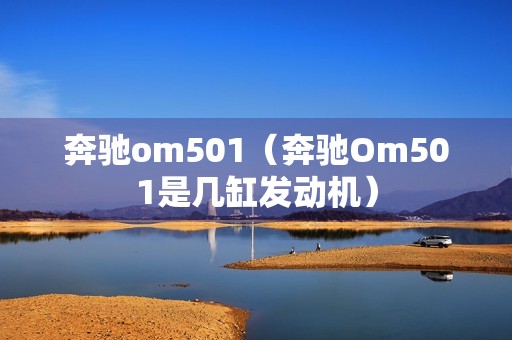 奔驰om501（奔驰Om501是几缸发动机）