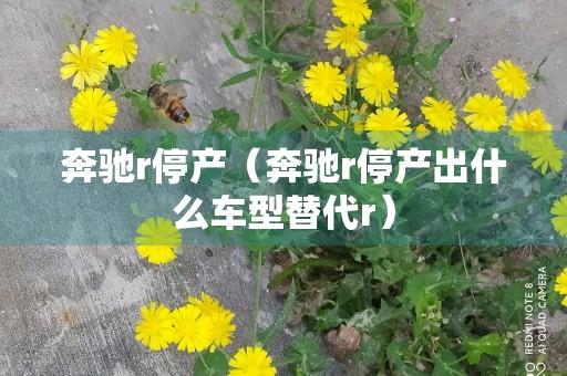 奔驰r停产（奔驰r停产出什么车型替代r）