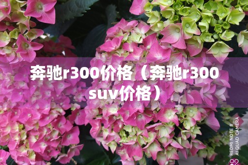 奔驰r300价格（奔驰r300suv价格）