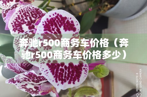 奔驰r500商务车价格（奔驰r500商务车价格多少）