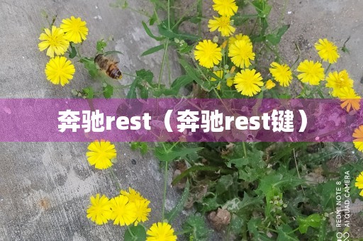 奔驰rest（奔驰rest键）