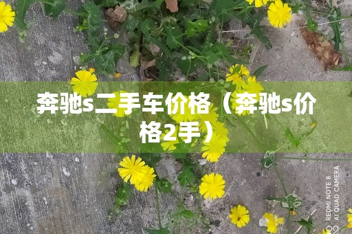 奔驰s二手车价格（奔驰s价格2手）