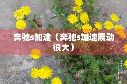 奔驰s加速（奔驰s加速震动很大）