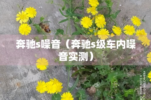 奔驰s噪音（奔驰s级车内噪音实测）