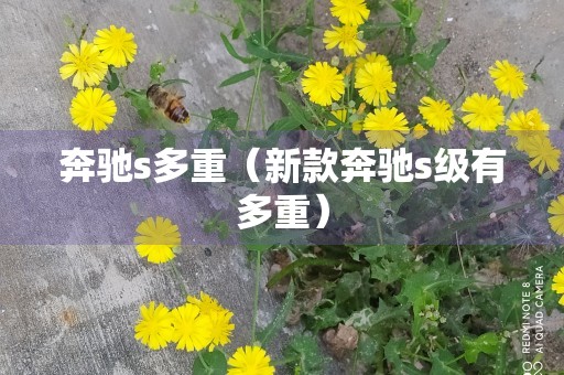 奔驰s多重（新款奔驰s级有多重）