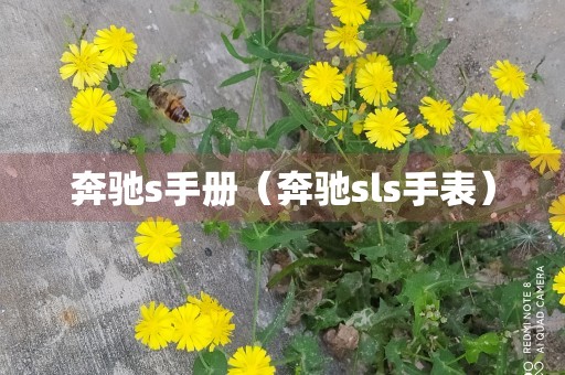 奔驰s手册（奔驰sls手表）