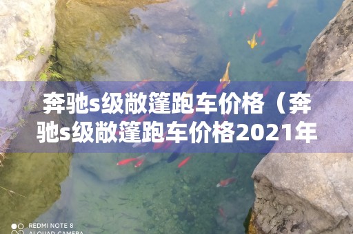 奔驰s级敞篷跑车价格（奔驰s级敞篷跑车价格2021年新款）