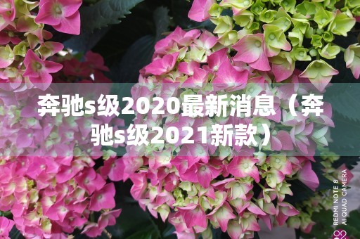 奔驰s级2020最新消息（奔驰s级2021新款）