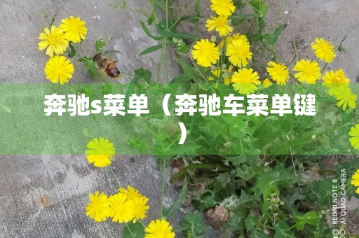 奔驰s菜单（奔驰车菜单键）