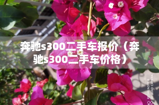 奔驰s300二手车报价（奔驰s300二手车价格）