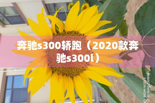 奔驰s300轿跑（2020款奔驰s300l）