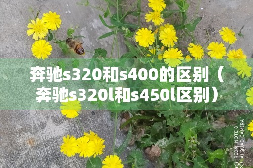 奔驰s320和s400的区别（奔驰s320l和s450l区别）