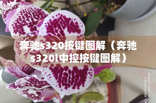 奔驰s320按键图解（奔驰s320l中控按键图解）