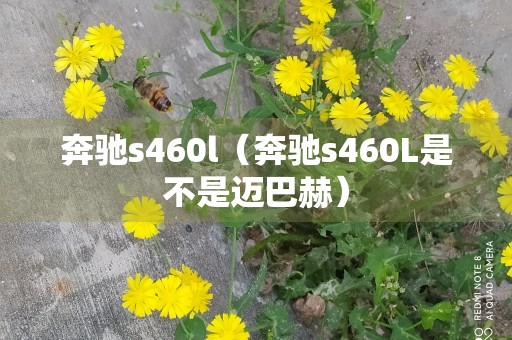 奔驰s460l（奔驰s460L是不是迈巴赫）