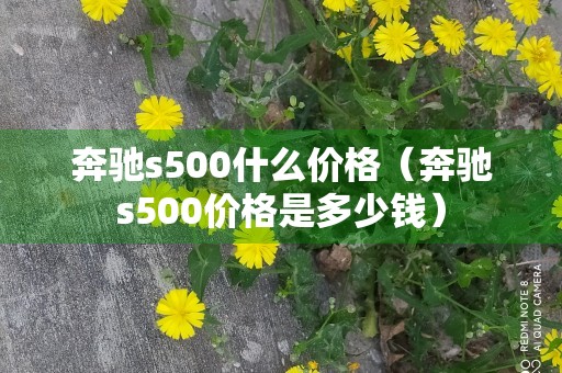 奔驰s500什么价格（奔驰s500价格是多少钱）