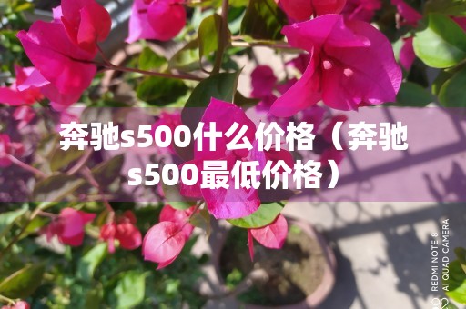 奔驰s500什么价格（奔驰s500最低价格）