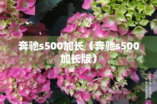 奔驰s500加长（奔驰s500加长版）