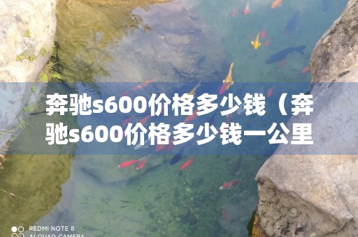 奔驰s600价格多少钱（奔驰s600价格多少钱一公里）