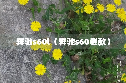 奔驰s60l（奔驰s60老款）