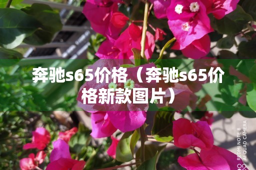 奔驰s65价格（奔驰s65价格新款图片）